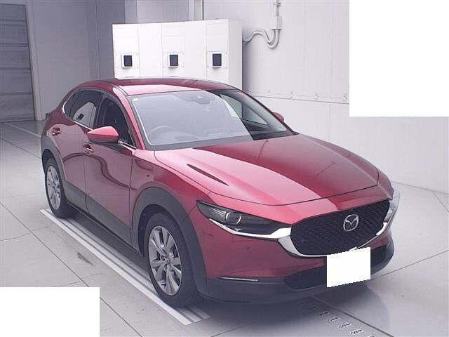 26367248_carP_l_1.jpg