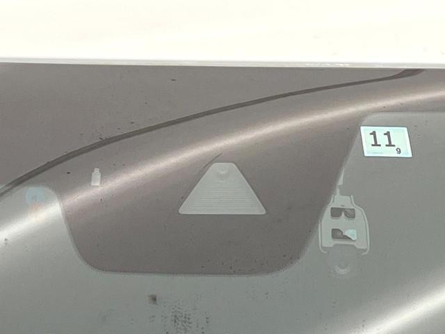 26924635_carP_l_13.jpg