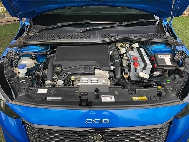 0127516A20260926D00213.jpg