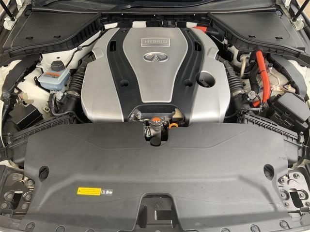 24847065_carP_l_12.jpg