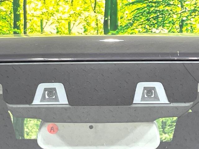 24280637_carP_l_13.jpg