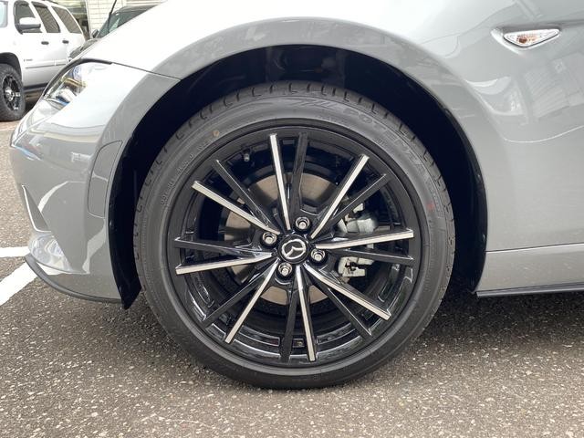 0300218A30260706W00118.jpg