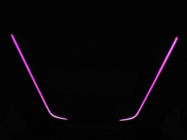 0541413A30260116W01116.jpg