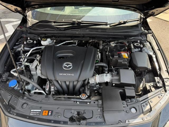 0520216A30260918W00213.jpg