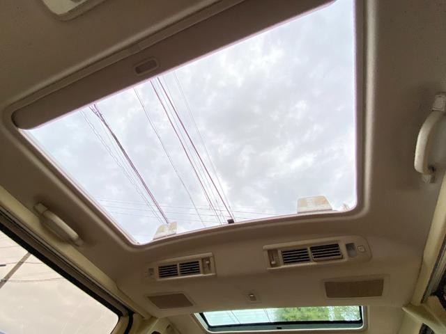 0208844A30260910W00503.jpg