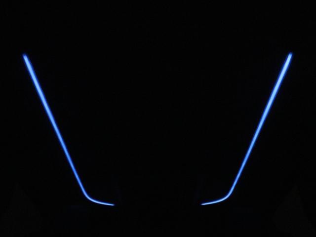 0541413A30260708W00213.jpg