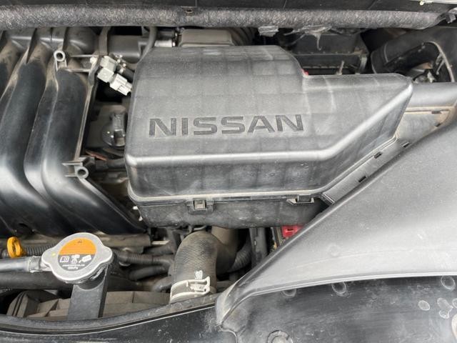 25056437_carP_l_16.jpg