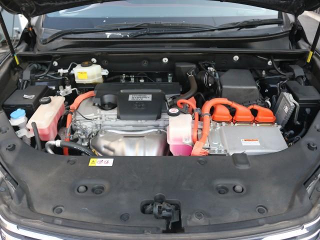 22764744_carP_l_17.jpg
