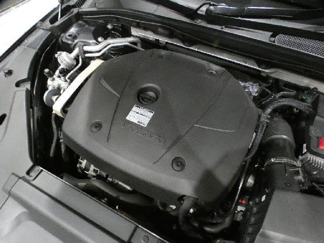 3f24255736bf72eb792251ab73e35071.jpg
