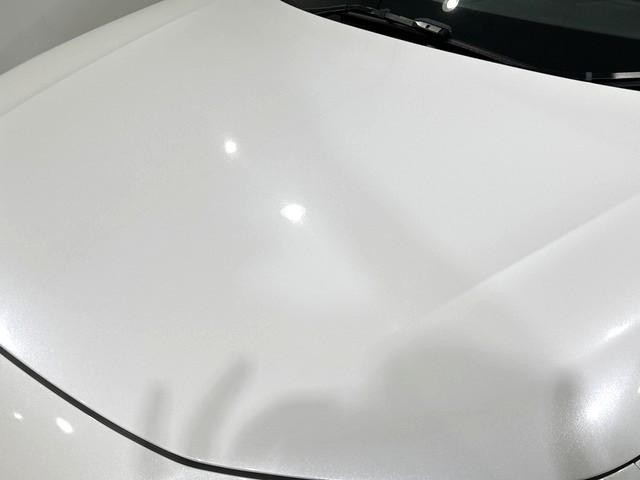 0701248A30260907W00114.jpg