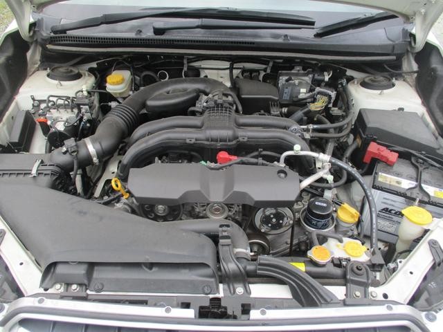 0801018A30260619W00116.jpg