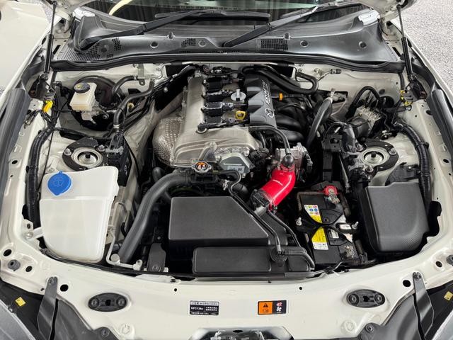 0560342A30260907W00502.jpg