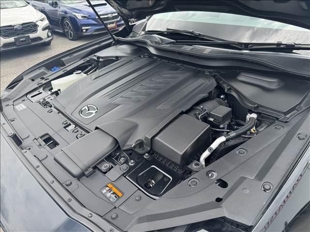 26208616_carP_l_8.jpg