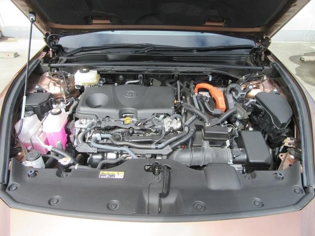 0123954A30260806W00116.jpg