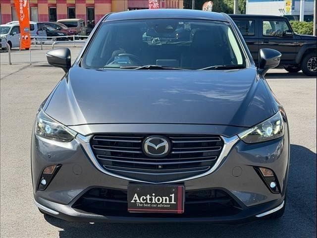 26854551_carP_l_15.jpg