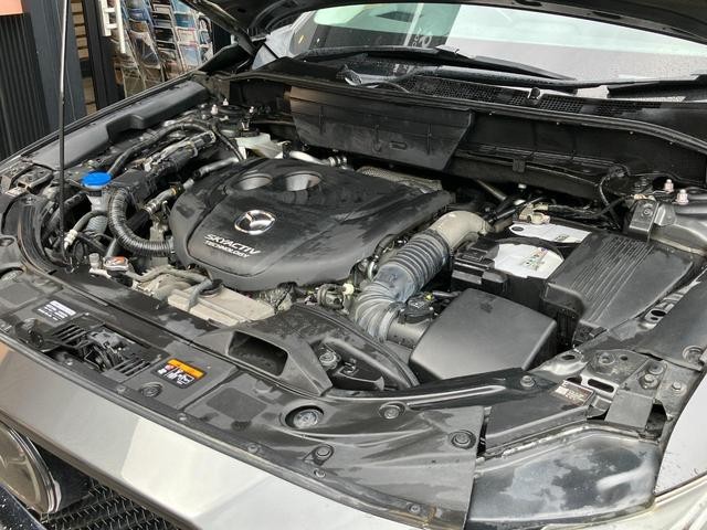 0303725A30260626W00117.jpg