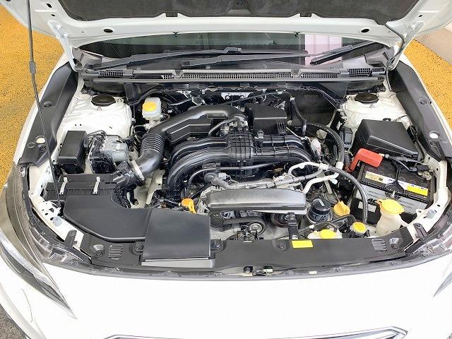 0560069A20260625W00312.jpg