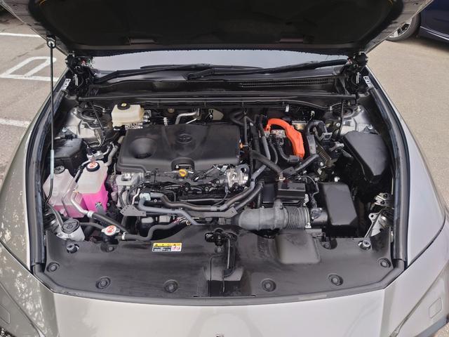 0903644A30260531W00103.jpg