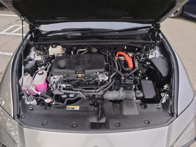 0903644A30260531W00103.jpg