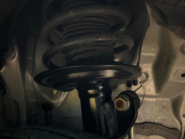 24359904_carP_l_20.jpg