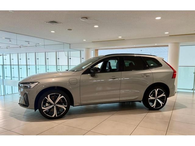 25501633_carP_l_4.jpg