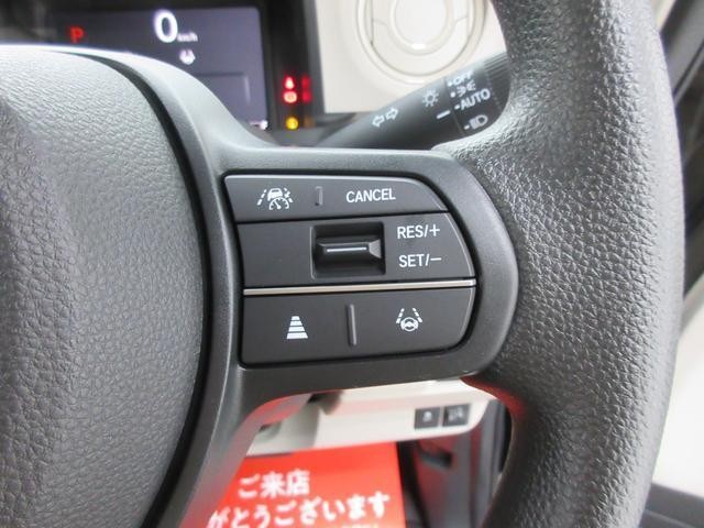 25904237_carP_l_7.jpg