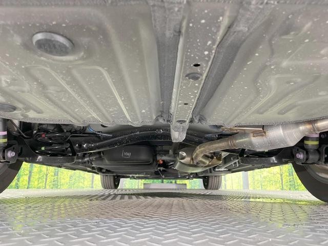 25904273_carP_l_20.jpg
