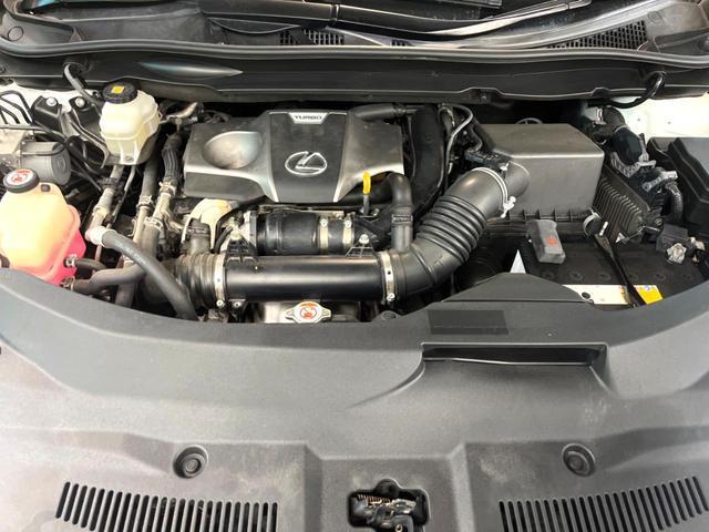 24299865_carP_l_16.jpg