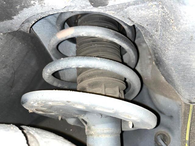 24299865_carP_l_20.jpg