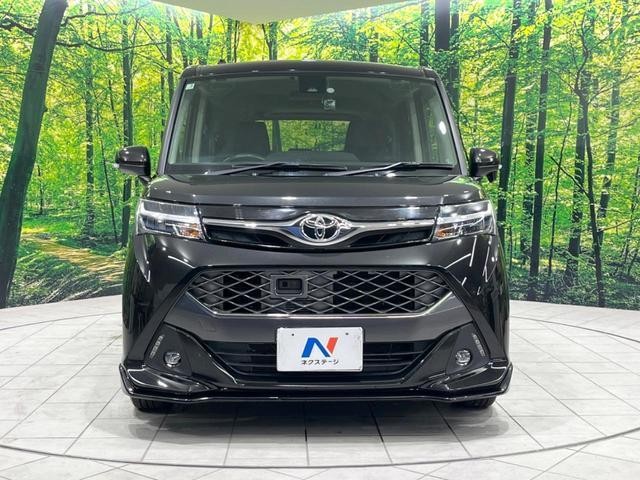 27161306_carP_l_8.jpg