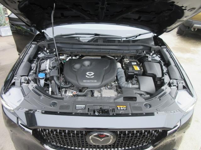0561088A30260910W00117.jpg