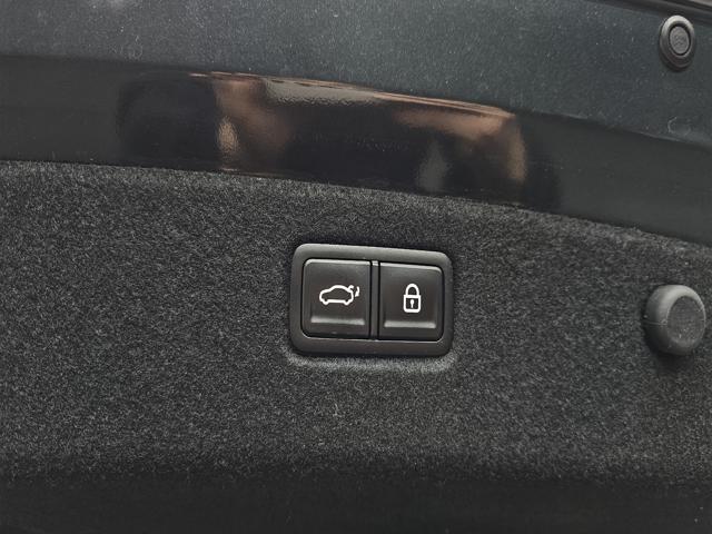 d31137074c85337360a4126e2d440ee2.jpeg
