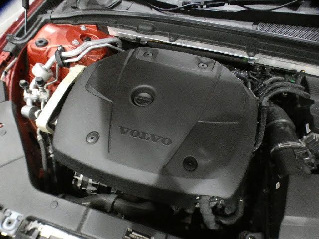 d6b8715aa6a9db3b2089e6fb5cc2ea23.jpg