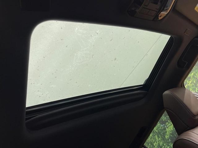 26946745_carP_l_15.jpg
