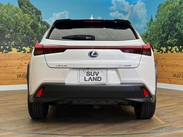 26946747_carP_l_9.jpg