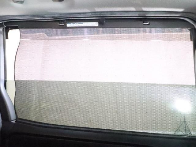 0501008A30261011W00106.jpg