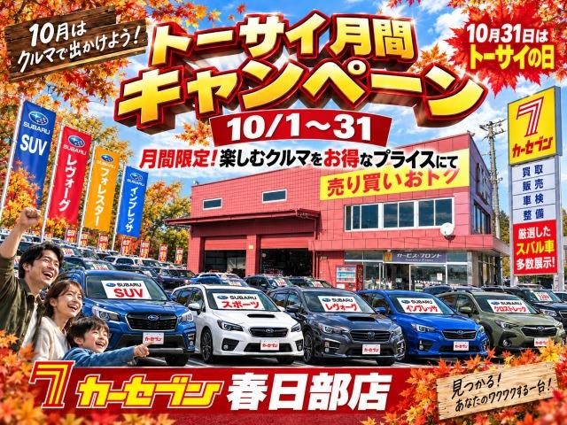 0540806A30261002W00604.jpg
