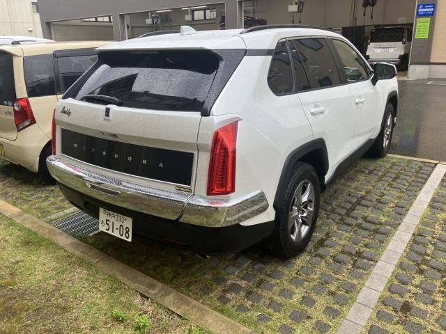 24649746_carP_l_4.jpg