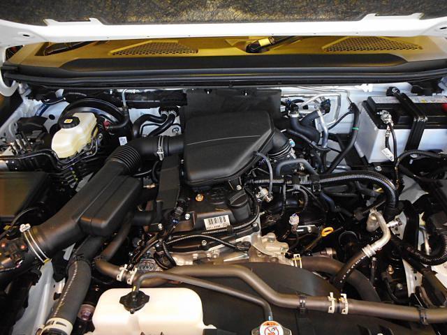 23949900_carP_l_20.jpg