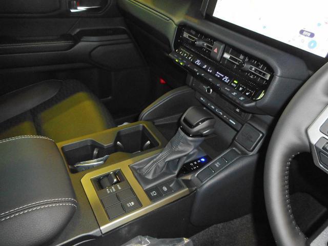 23949900_carP_l_8.jpg