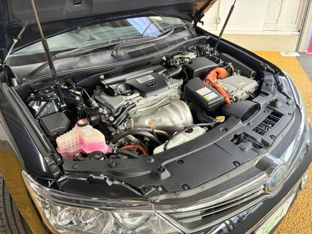 0560069A20260613W00109.jpg