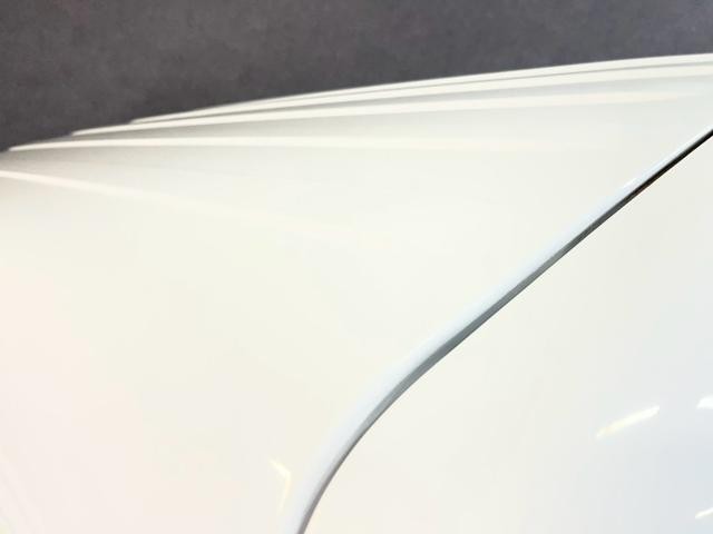 0710163A30261018W00814.jpg