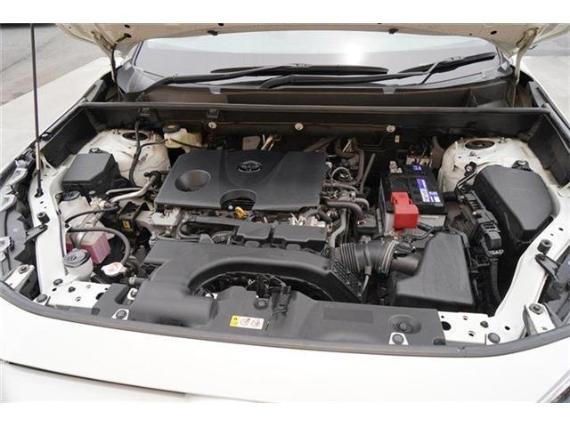 24649765_carP_l_18.jpg