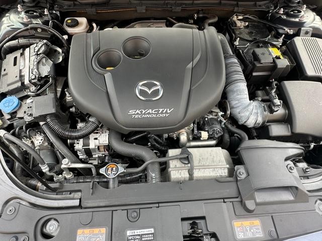 0507054A30260905W01018.jpg