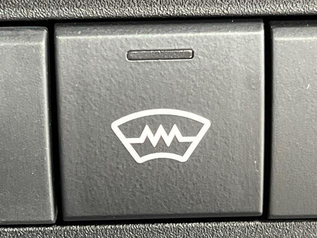 24300287_carP_l_10.jpg