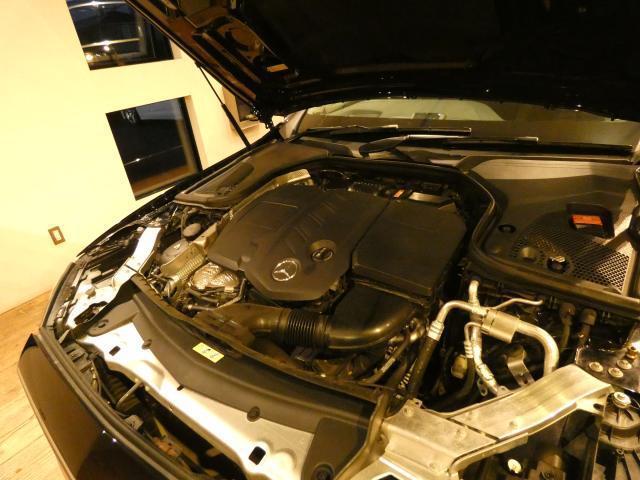 23965580_carP_l_20.jpg