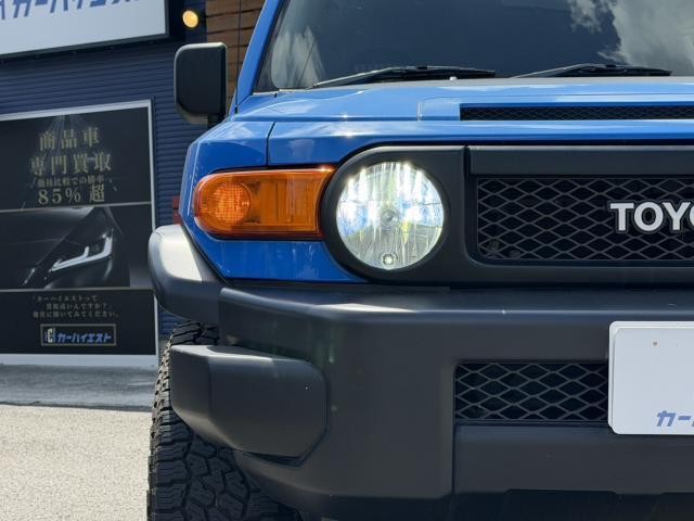 26209934_carP_l_19.jpg
