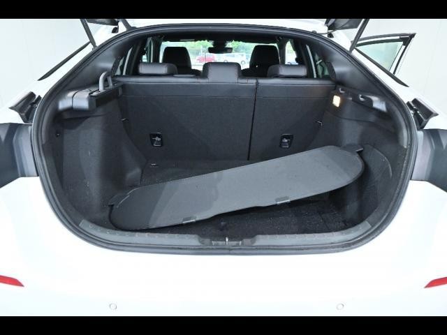 26516851_carP_l_6.jpg