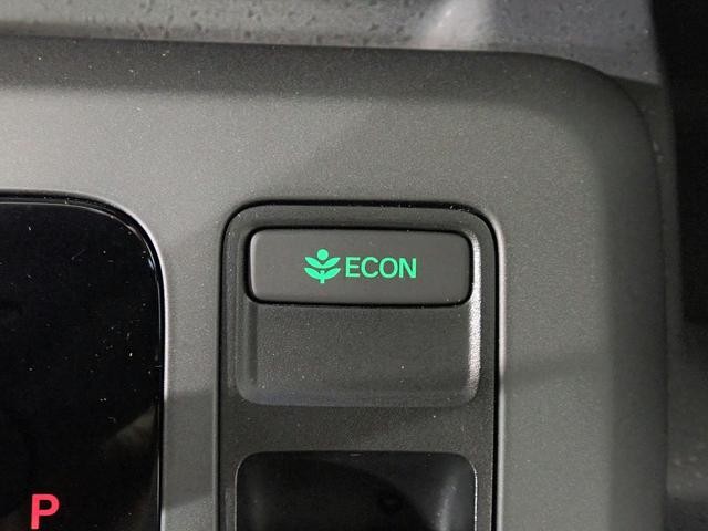 0201999A30260922W00509.jpg