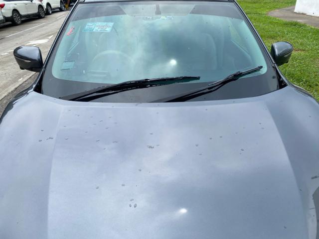 d2d298a3d339e9ff993a9d5d5b419cca.jpeg